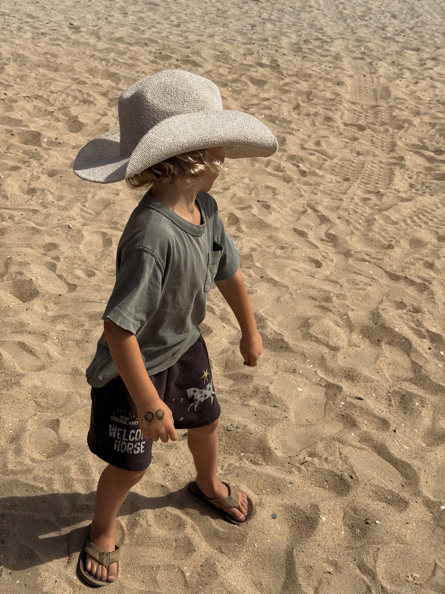 Saddle Up Shorts